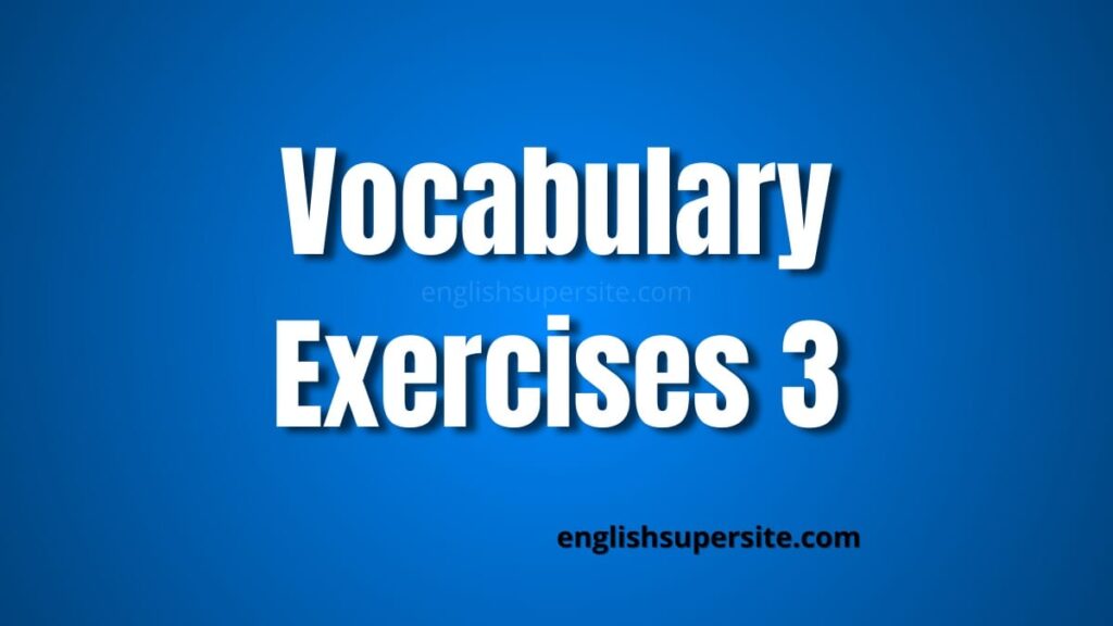 Vocabulary - Exercises 3