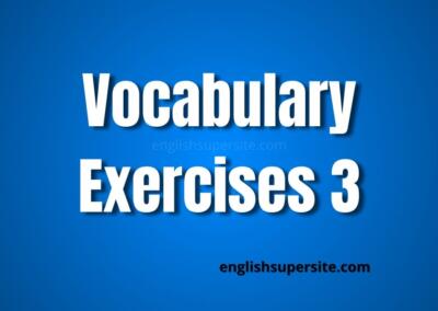 Vocabulary – Exercises 3