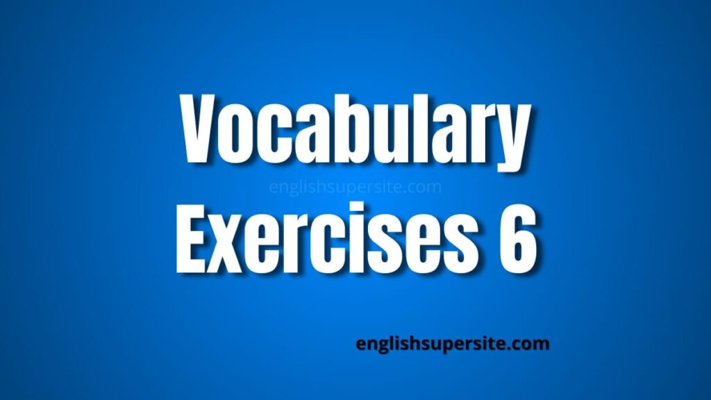 Vocabulary - Exercises 6