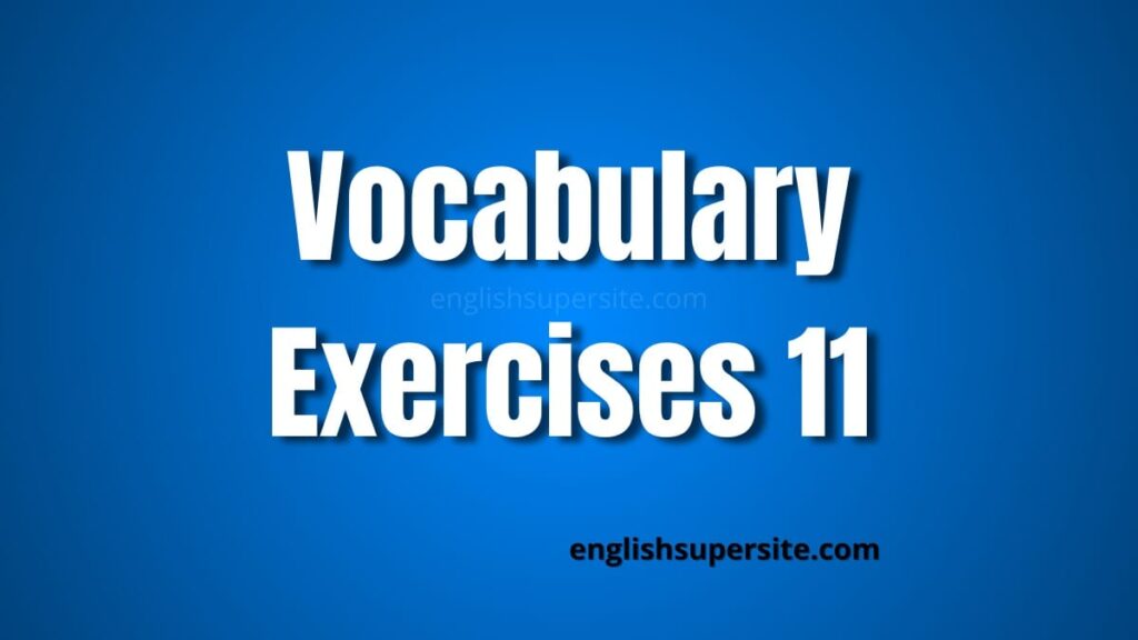 Vocabulary - Exercises 11