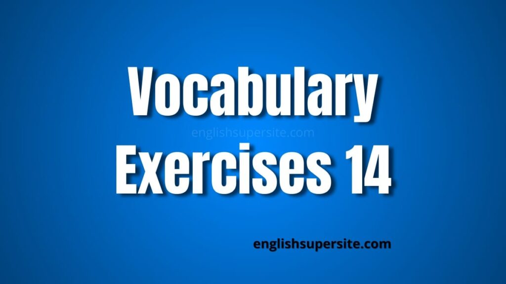 Vocabulary - Exercises 14