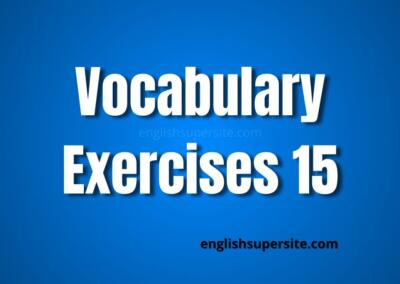 Vocabulary – Exercises 15