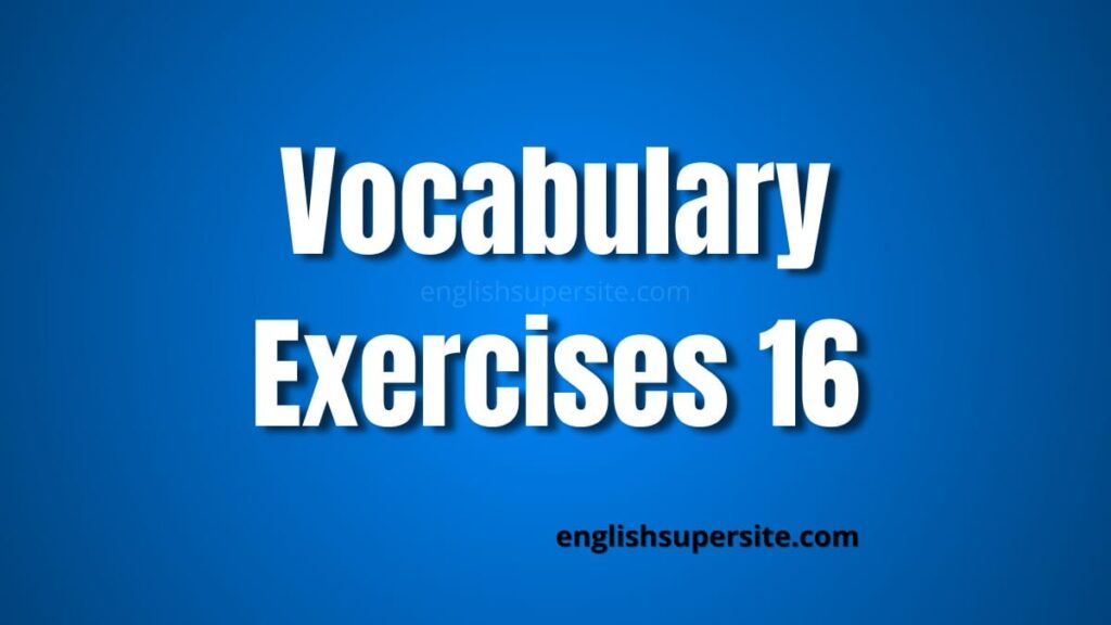 Vocabulary - Exercises 16