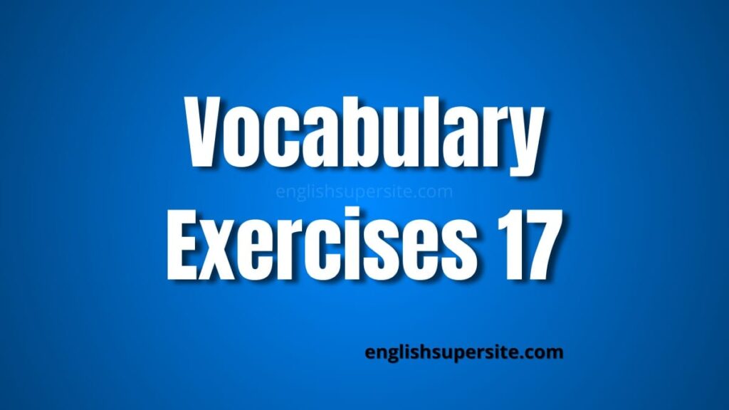 Vocabulary - Exercises 17