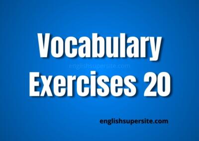 Vocabulary – Exercises 20